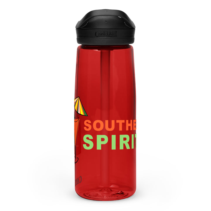 Sports water bottle