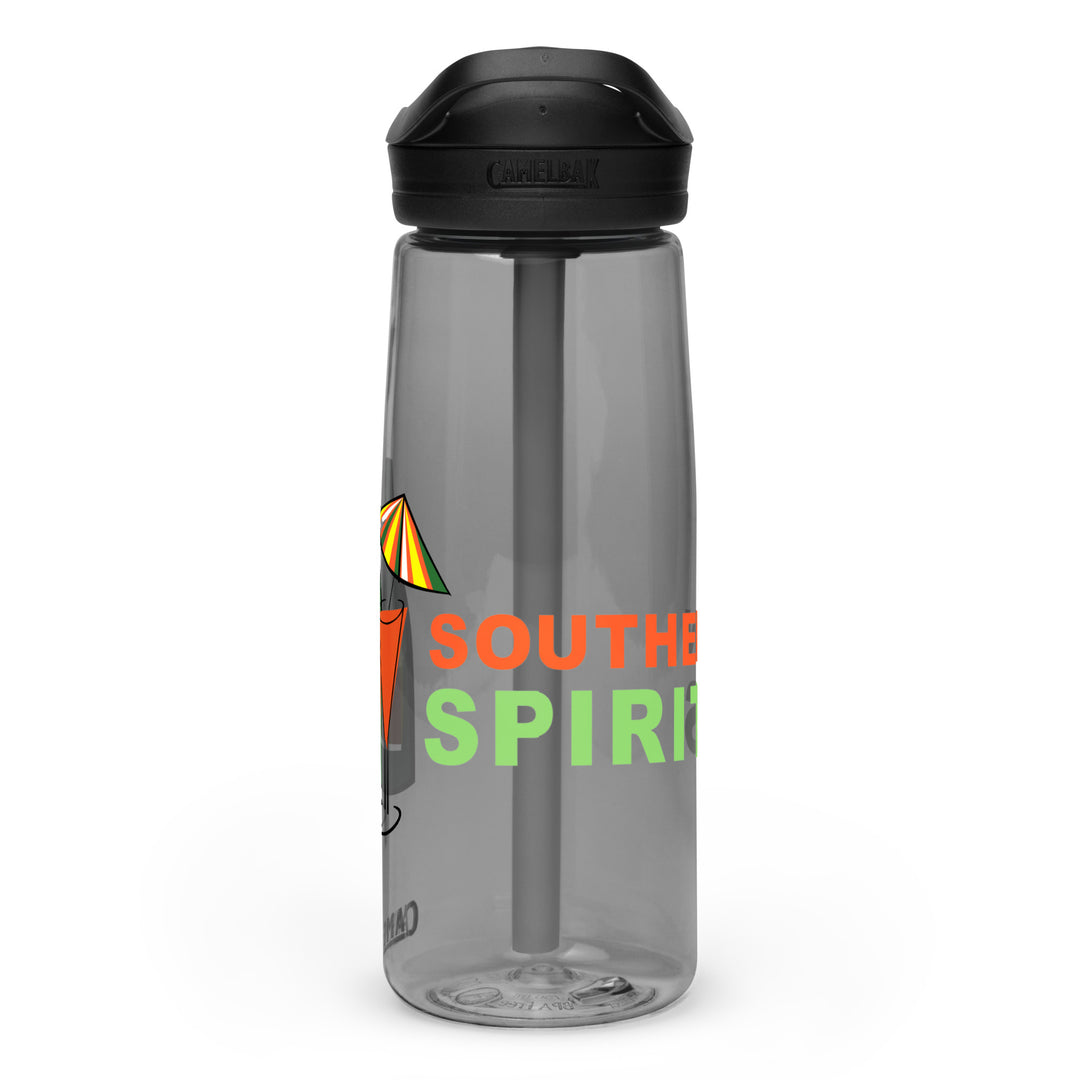 Sports water bottle