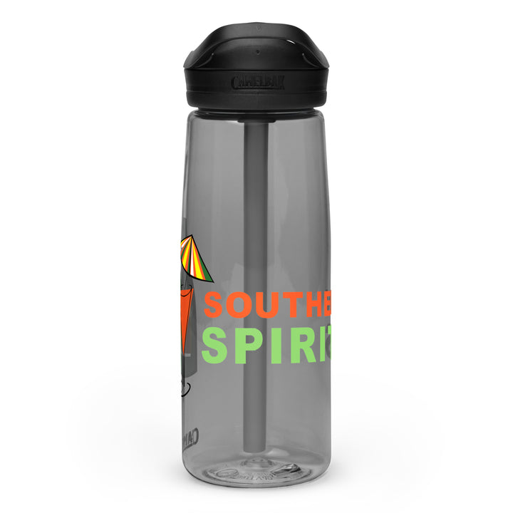 Sports water bottle