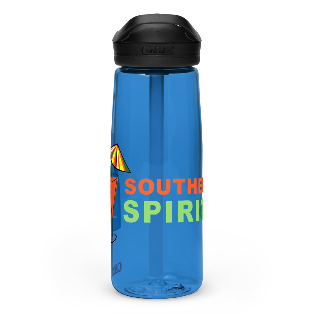 Sports water bottle